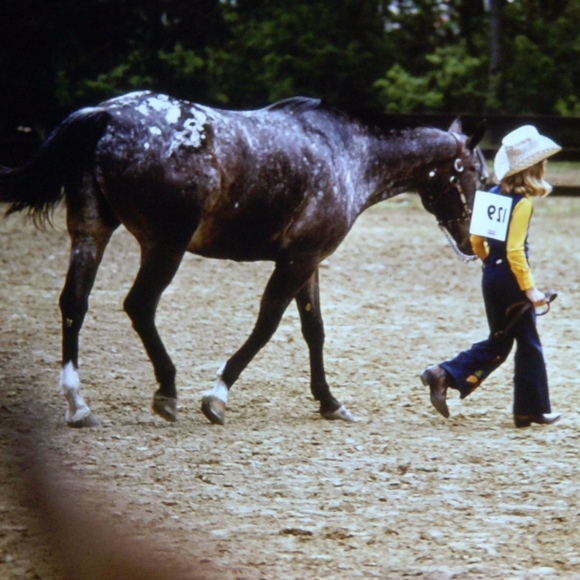 Meet your Posher, Lisa - Picture 1 of 1